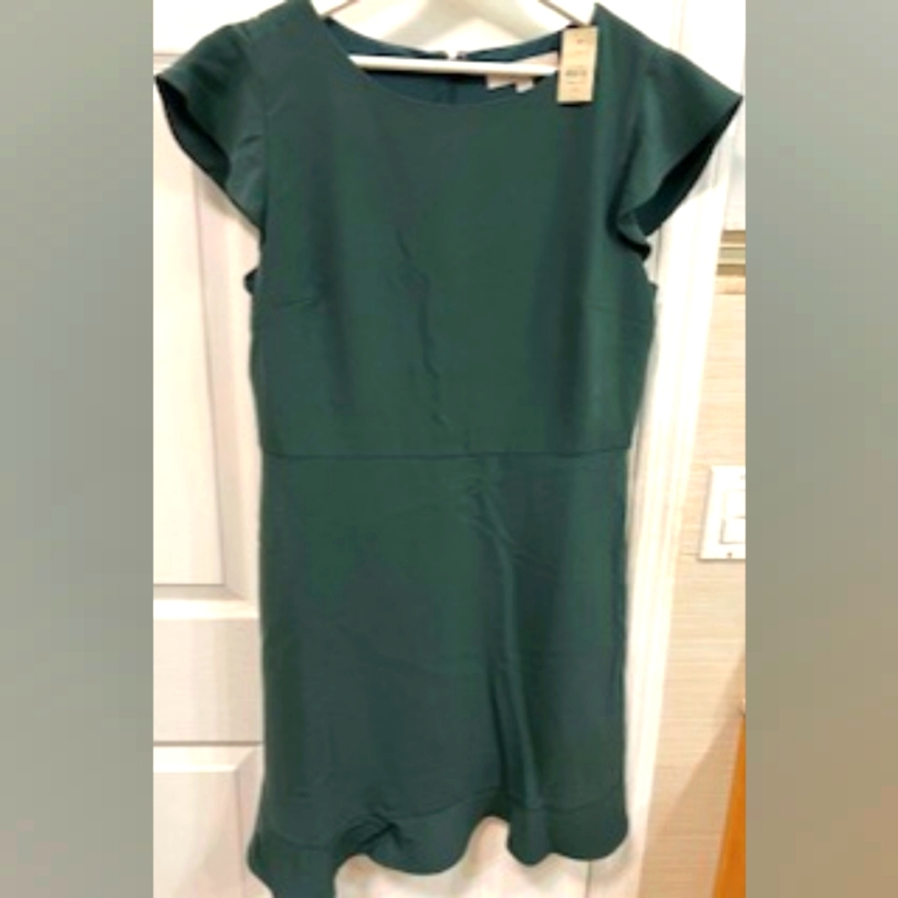 Loft Green Petite Dress